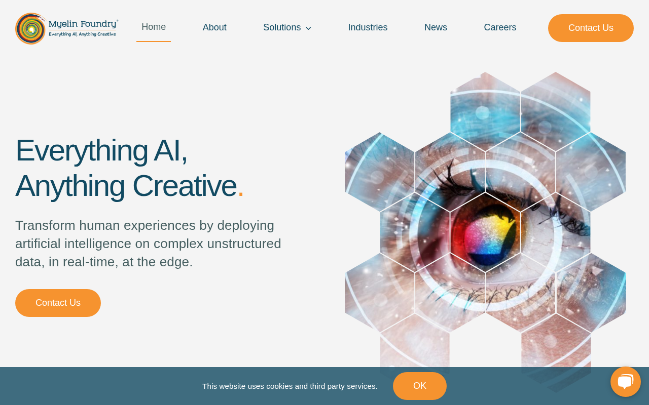 Screenshot of Myelin Foundry Review: Edge AI Solutions for Business Transformation