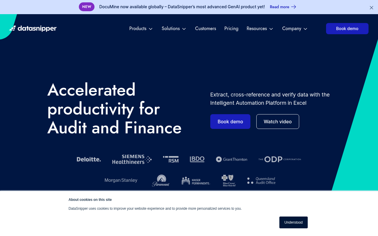 Screenshot of DataSnipper: Supercharge Your Audit & Finance Workflows in Excel